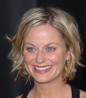 blonde_amy_poehler