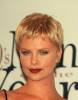 blonde_charlize_theron5.jpg