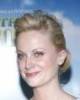 blonde_amy_poehler4.jpg