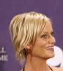 blonde_amy_poehler5.jpg